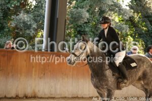 As_Poney_2_CSO_15h06_086.jpg