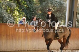 As_Poney_2_CSO_15h10_105.jpg