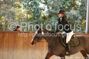 As_Poney_2_CSO_15h10_107.jpg