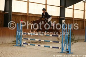 As_Poney_2_CSO_15h12_111.jpg