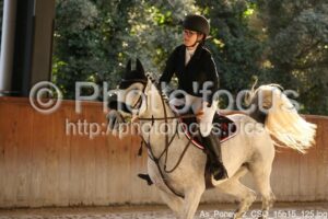 As_Poney_2_CSO_15h15_125.jpg