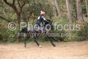 As_Poney_2_Cross_09h29_002.jpg
