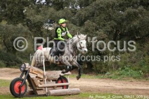 As_Poney_2_Cross_09h31_009.jpg
