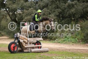 As_Poney_2_Cross_09h37_018.jpg