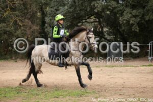 As_Poney_2_Cross_09h37_020.jpg