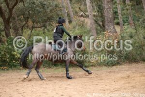 As_Poney_2_Cross_09h42_027.jpg