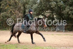 As_Poney_2_Cross_09h42_030.jpg
