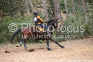 As_Poney_2_Cross_09h44_032.jpg