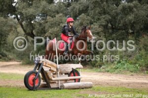 As_Poney_2_Cross_09h47_037.jpg