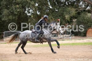 As_Poney_2_Cross_09h49_043.jpg