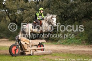 As_Poney_2_Cross_09h51_047.jpg