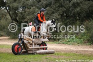 As_Poney_2_Cross_09h56_055.jpg