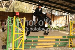 Poney_1_CSO_14h49_001.jpg