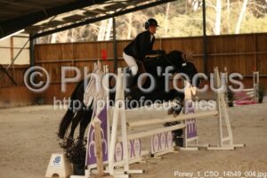 Poney_1_CSO_14h49_004.jpg
