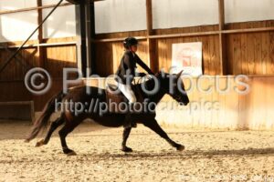 Poney_1_CSO_14h50_006.jpg