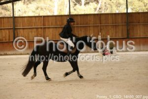 Poney_1_CSO_14h50_007.jpg