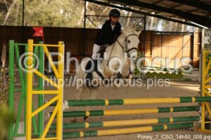 Poney_1_CSO_14h50_008.jpg