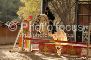 Poney_1_CSO_14h51_010.jpg