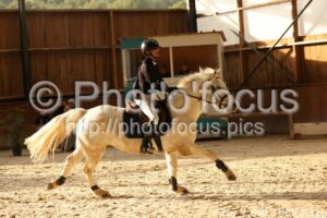 Poney_1_CSO_14h51_013.jpg