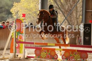 Poney_1_CSO_14h52_017.jpg