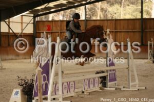 Poney_1_CSO_14h52_018.jpg