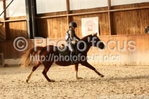 Poney_1_CSO_14h52_020.jpg