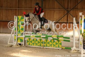Poney_1_CSO_14h53_022.jpg
