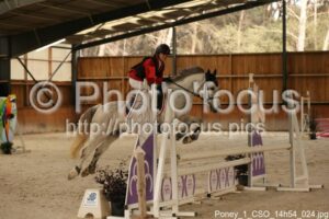 Poney_1_CSO_14h54_024.jpg