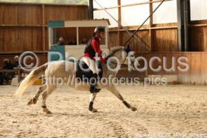 Poney_1_CSO_14h54_026.jpg