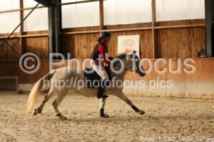 Poney_1_CSO_14h54_027.jpg