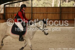 Poney_1_CSO_14h54_029.jpg