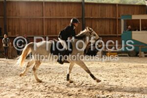 Poney_1_CSO_14h55_036.jpg