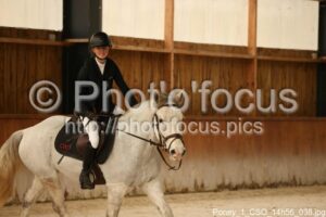 Poney_1_CSO_14h56_038.jpg
