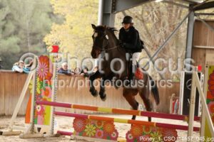 Poney_1_CSO_14h57_045.jpg