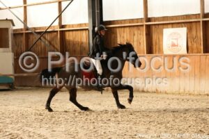 Poney_1_CSO_14h57_048.jpg