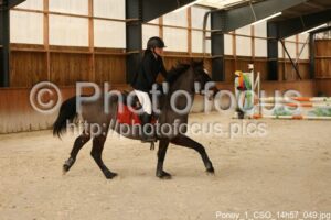 Poney_1_CSO_14h57_049.jpg