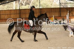 Poney_1_CSO_14h57_050.jpg