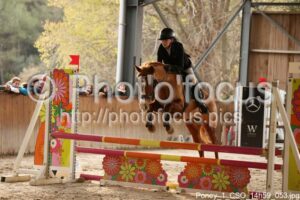 Poney_1_CSO_14h59_053.jpg