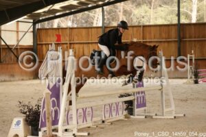 Poney_1_CSO_14h59_054.jpg