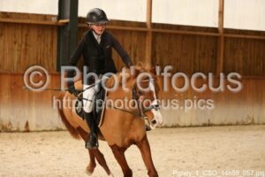 Poney_1_CSO_14h59_057.jpg