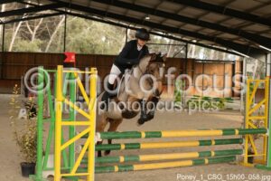 Poney_1_CSO_15h00_058.jpg