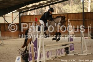 Poney_1_CSO_15h01_061.jpg