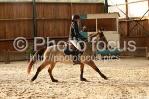 Poney_1_CSO_15h01_063.jpg