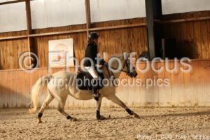 Poney_1_CSO_15h03_069.jpg