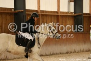 Poney_1_CSO_15h03_070.jpg