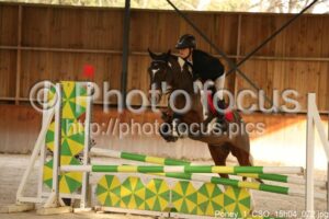 Poney_1_CSO_15h04_072.jpg