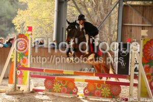 Poney_1_CSO_15h04_073.jpg