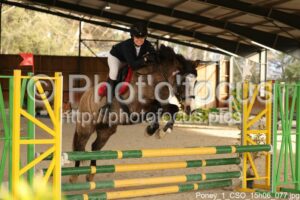Poney_1_CSO_15h06_077.jpg