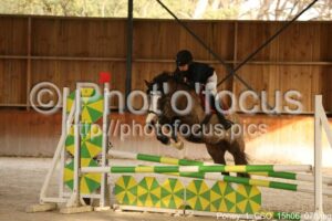 Poney_1_CSO_15h06_078.jpg
