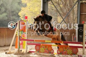 Poney_1_CSO_15h06_079.jpg